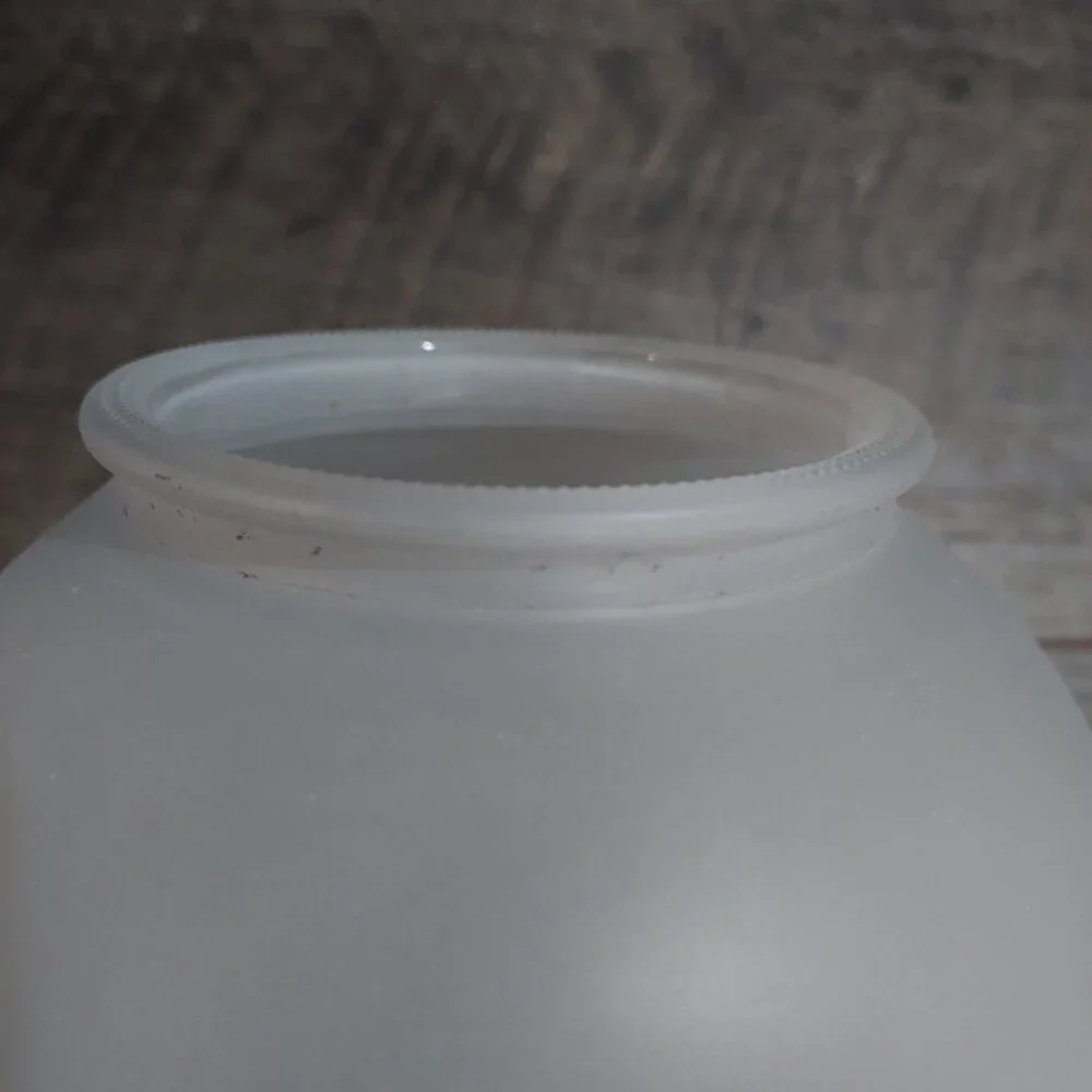 Lamp Shade Frosted Glass Ceiling Light Fixture Globe Stem Berries 3.25" Fit. - Picture 10 of 11